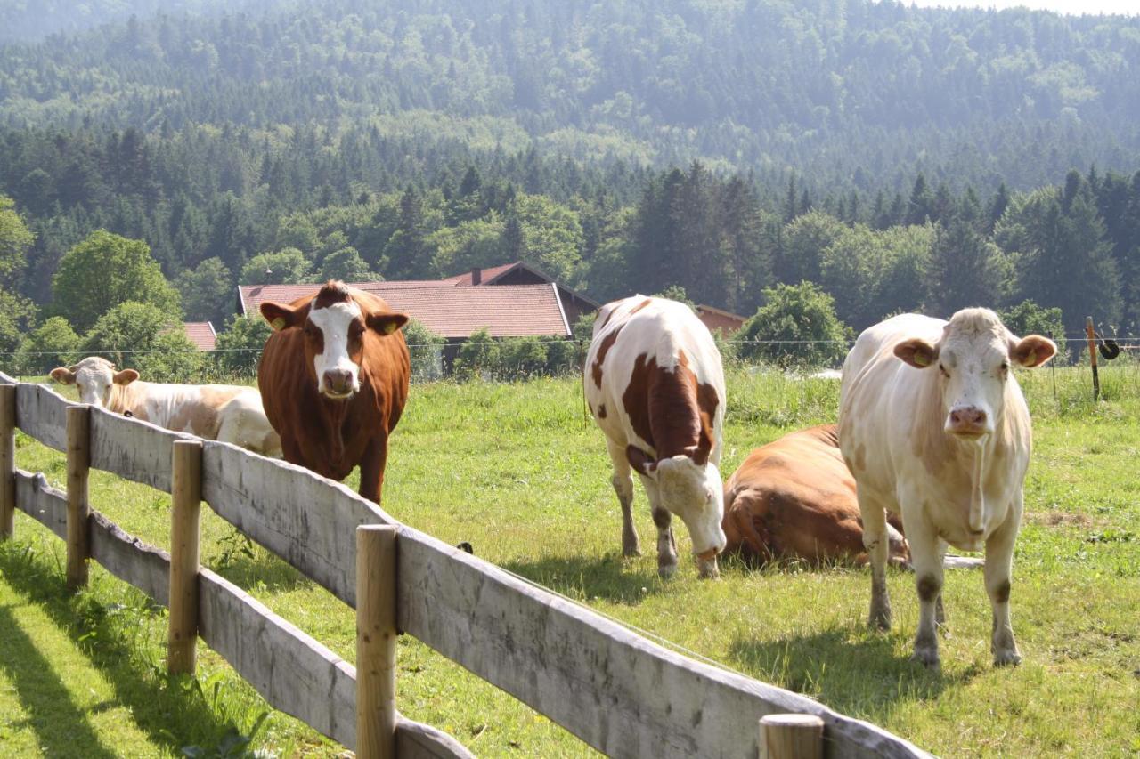 Bauernhof Herbstbauernhof *